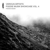 VA - Poesie Musik Showcase Vol. 4 (2020) MP3