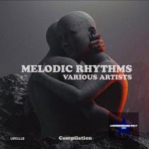 VA - Melodic Rhythms (2023) MP3