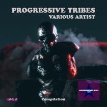 VA - Progressive Tribes (2023) MP3