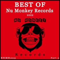VA - Best Of Nu Monkey Records 2022 Pt. 3 (2023) MP3