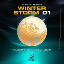 VA - Winter Storm (2023) MP3