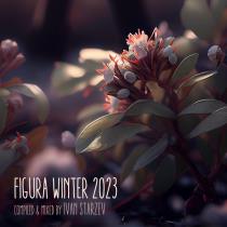 VA - Figura Winter Figura Music (2023) MP3