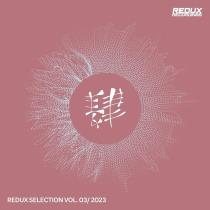 VA - Redux Selection (Vol.3) (2023) MP3