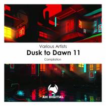 VA - Dusk To Dawn 11 (2023) MP3