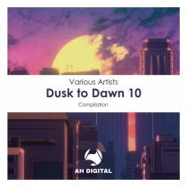 VA - Dusk To Dawn 10 (2023) MP3