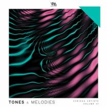 VA - Tones & Melodies Vol 17 (2023) MP3