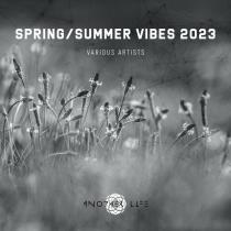 VA - Spring/Summer Vibes 2023 (2023) MP3