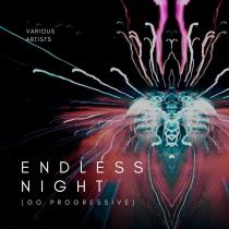 VA - Endless Night (Go Progressive) (2023) MP3