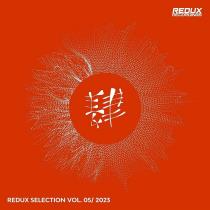 VA - Redux Selection Vol 5 / 2023 (2023) MP3