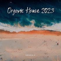 VA - Organic House #02 (2023) MP3