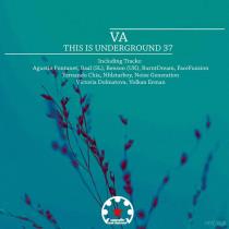 VA - This Is Underground 37 (2023) MP3