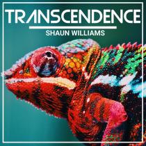 VA - Shaun Williams - Transcendence (2023) MP3