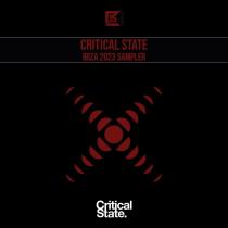 VA - Critical State Ibiza 2023 Sampler (2023) MP3