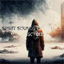VA - Spirit Sounds Of Trance #013 (Mixed by SounEmot) (2023) MP3