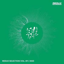 VA - Redux Selection, Vol. 9 / 2023 (2023) MP3