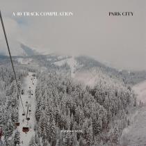 VA - A 40 Track Compilation: Park City (2023) MP3