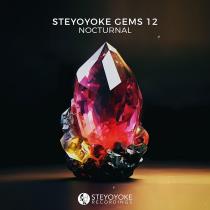 VA - Steyoyoke Gems Nocturnal 12 (2023) MP3