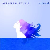 VA - Aethereality 14.0 (2023) MP3