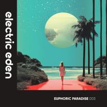 VA - Euphoric Paradise 003 (2023) MP3