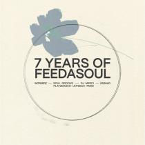 VA - 7 Years of Feedasoul (2023) MP3