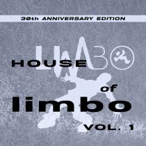 VA - House of Limbo, Vol. 1 (2023 Remastered) (2023) MP3