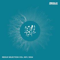 VA - Redux Selection Vol 1 / 2024 (2024) MP3