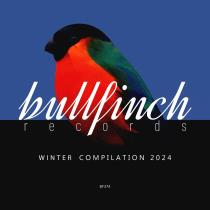 VA - Bullfinch Winter 2024 Compilation (2024) MP3