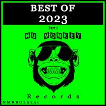 VA - Best Of Nu Monkey Records 2023 Pt 1 (2023) MP3