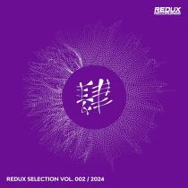 VA - Redux Selection Vol 2 / 2024 (2024) MP3