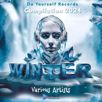 VA - Do Yourself Records Winter Compilation 2024 (2024) MP3