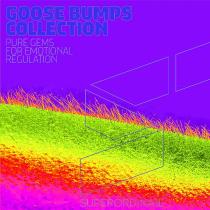 VA - Goose Bumps Collection Vol 11 (2024) MP3