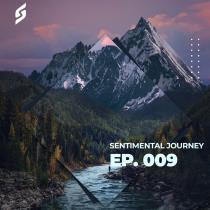 VA - Sentimental Journey Ep.009 (Mixed by Elissandro) (2024) MP3
