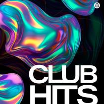 VA - CLUB HITS Dance Music (2024) MP3