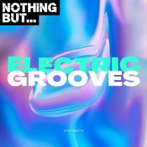 VA - Nothing But... Electric Grooves, Vol 14 (2024) MP3