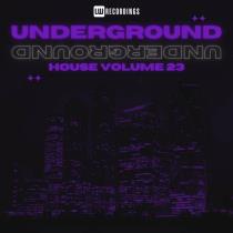 VA - Underground House, Vol 23 (2024) MP3