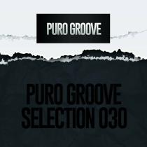 VA - Puro Groove Selection 030 (2024) MP3