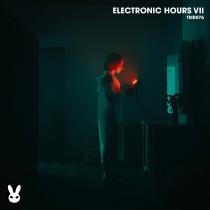 VA - Electronic Hours VII (2024) MP3