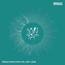 VA - Redux Selection, Vol. 9 / 2024 (2024) MP3