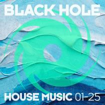 VA - Black Hole House Music 01-25 (2025) MP3