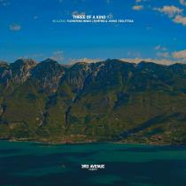 VA - Three of a Kind #031 (2025) MP3