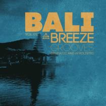 VA - Bali Breeze Grooves, Vol 02 (2025) MP3