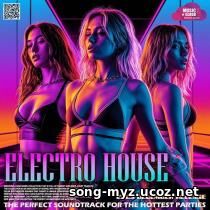 The Perfect Electro House The Perfect Electro House