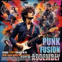 Punk Fusion Assembly