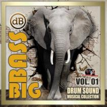 VA - Big Bass: Drum Sound Musical Collection Vol.01 (2020) MP3