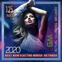 VA - HGM: Best New Electro House (2020) MP3
