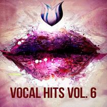 VA - Vocal Hits Vol. 6 (2020) MP3